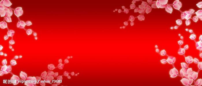 学历认证中报告编号忘记了